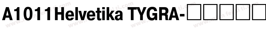 A1011Helvetika TYGRA字体转换
